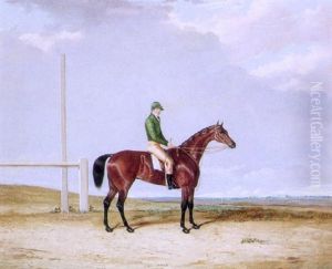 The Bay Racehorse "lady Fane" With Jockey Up On A Racecourse by Thomas W. Bretland