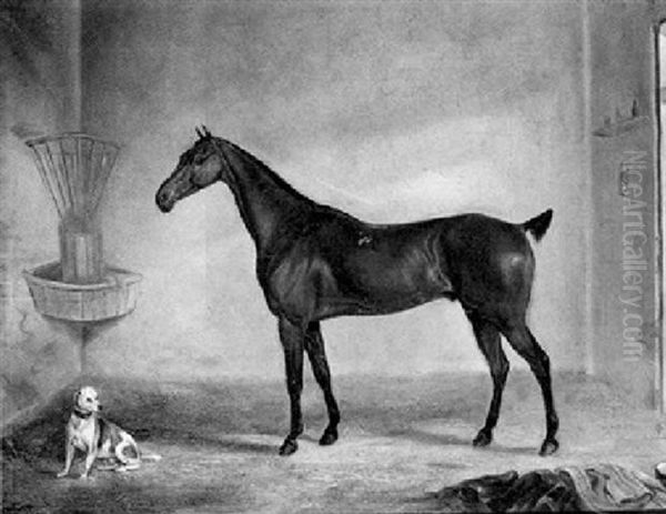 A Bay Racehorse And A Terrier In A Stable - view 1