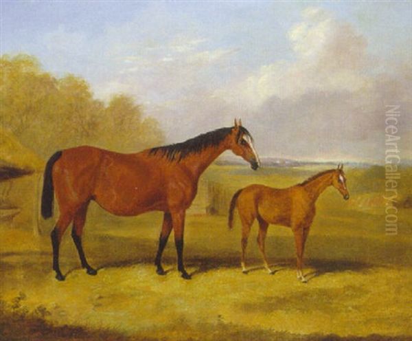 A Bay Mare With A Chestnut Foal In An Extensive Landscape - view 1