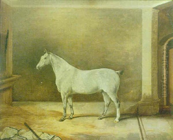 A Grey Gelding In A Stable - view 1