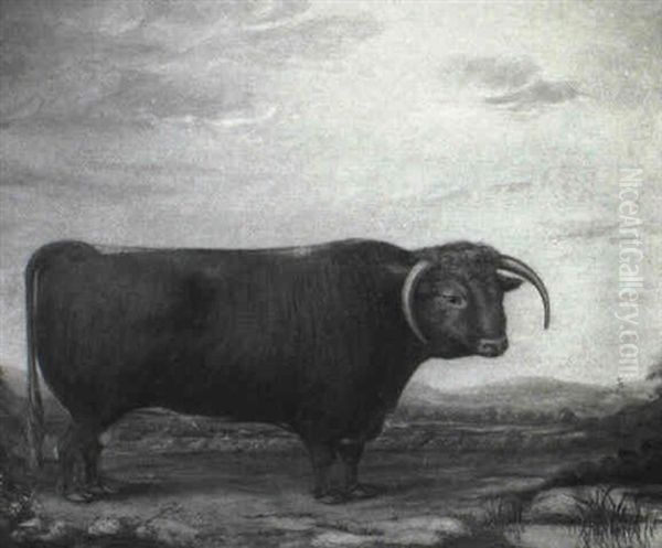 A Brown Prize Bull In A Landscape - view 1