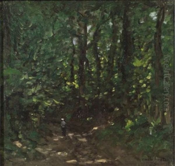 Woodland Path - view 1