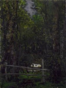 Cabane Dans La Foret