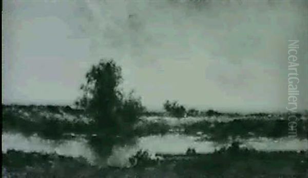Paysage Fluvial - view 1