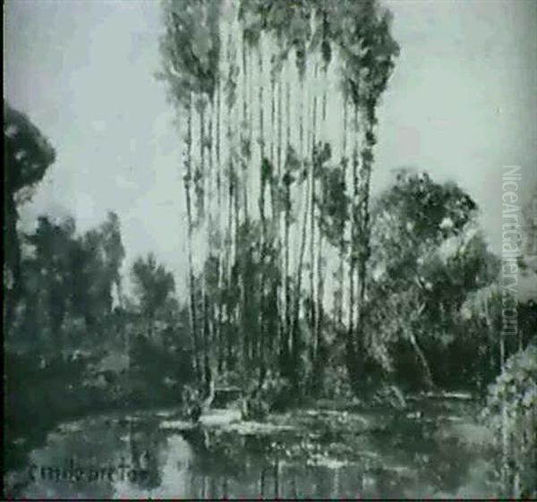 Paysage - view 1