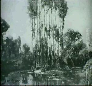 Paysage Paysage