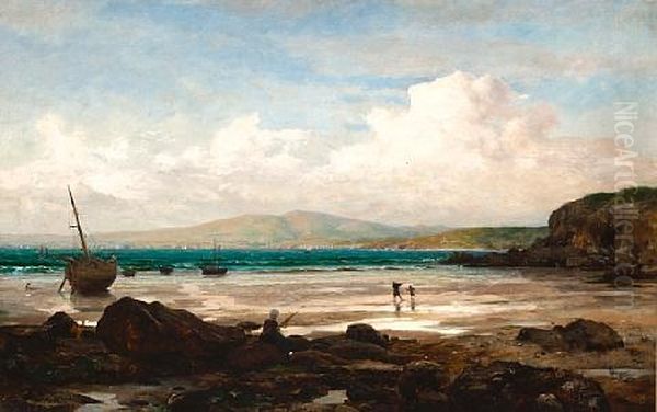 La Baie De Douarnenez A Maree Basse - view 1