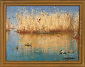 Ducks On A Pond by Harold Matthew Brett