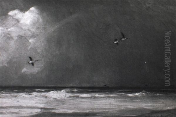 Geese Flying Offshore Below A Rainbow - view 1