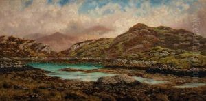 Some Fell On Stony Ground by John Brett