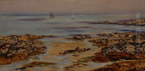 Lee Cove Sands, Devon - view 1