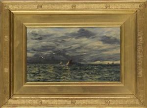 The Sky And The Sea