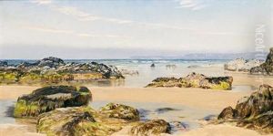 Spring Tide