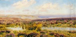 Sketch Of Fylingdales Moor by John Brett