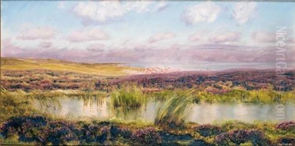 Fylingdales Moor - view 1