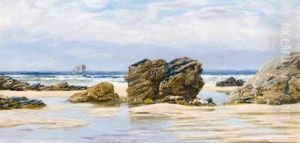 Crigga Pools