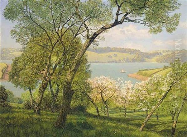 The River Dart - view 1