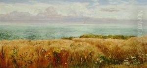 Across The Hayfield To The Sea