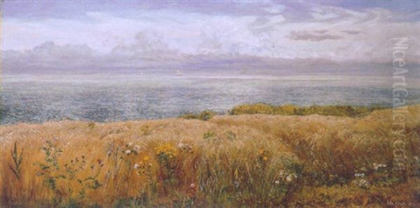 Across The Hayfield To The Sea - view 1