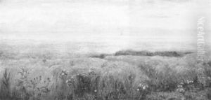 Daisy Field by John Brett