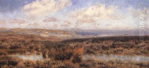 Fylingdales Moor, Whitby Beyond - view 1