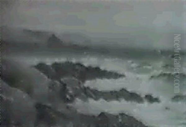 The Cornish Coast - view 1