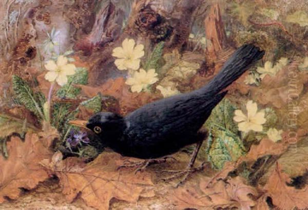 A Blackbird In Autumn Woodland Surrounded By Primroses And Violets - view 1