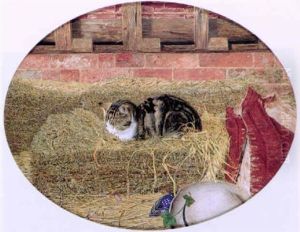 Catnap by Rosa Brett