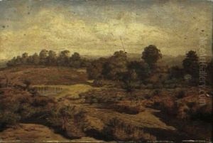 Heathland by Rosa Brett
