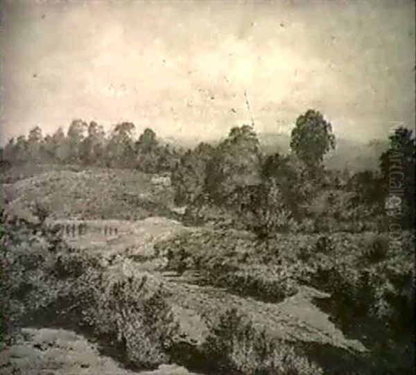 Heathland - view 1