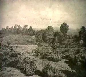 Heathland by Rosa Brett