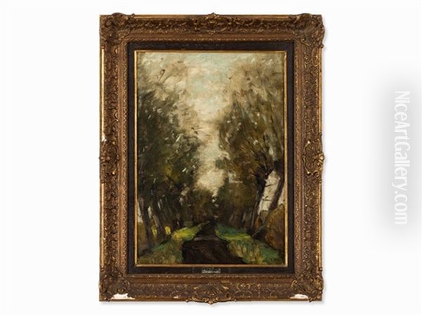 Forest Road - view 1