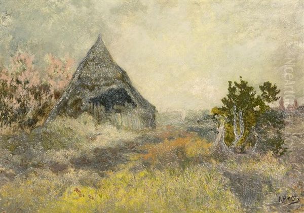Moorlandschaft Mit Kate Im Fruhling - view 1