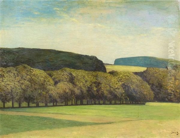 Feldlandschaft - view 1