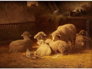 Schafe Im Stall by Max Breu