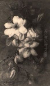 Bloeiende Magnoliatak by Clara Breuer