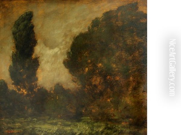 Forest Clearing - view 1