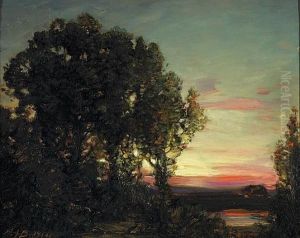 Sunset Beyond Distant Trees