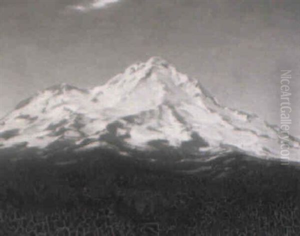 Mount Shasta - view 1
