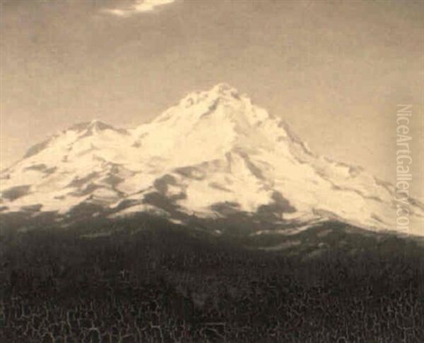 Mt. Shasta - view 1