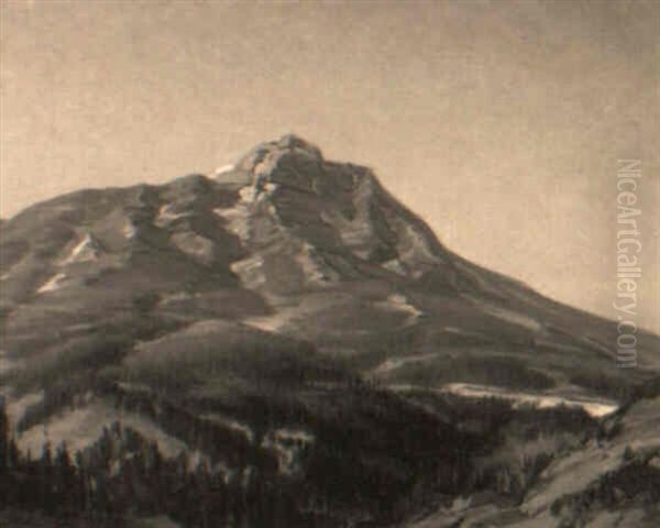 Mountain View - view 1