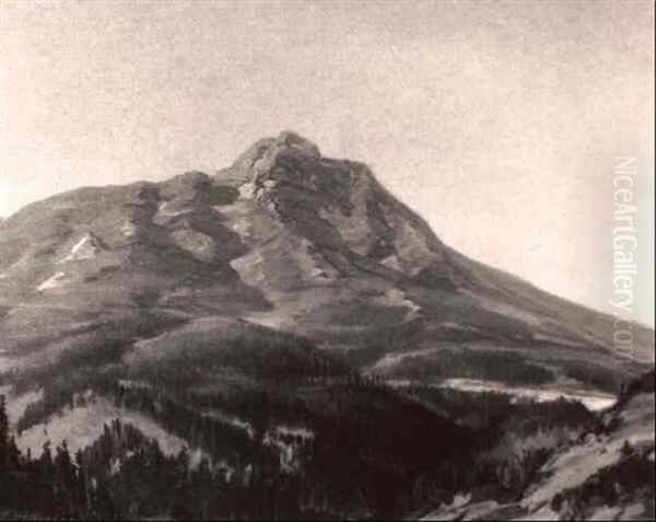 View Of Mt. Tamalpais - view 1