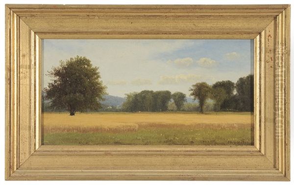 View Of A Field - view 1