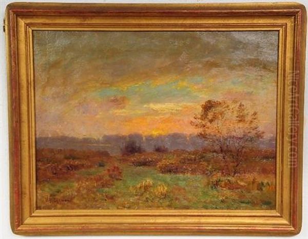 Landscape - view 1