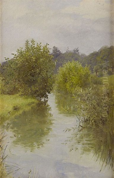 A Stream In Surrey, England - view 1