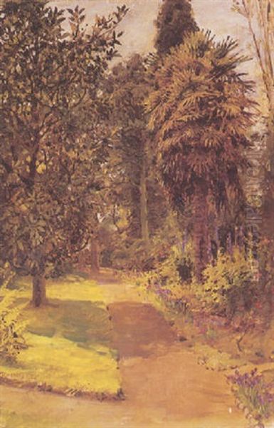 A Sunlit Garden Path - view 1