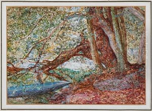 Forest With A Rowboat At The Shore - view 1
