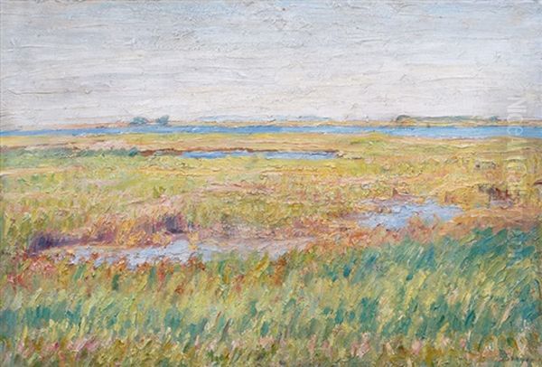 View Over Sylt - view 1