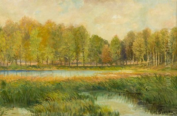 Okraj Rybnika - view 1