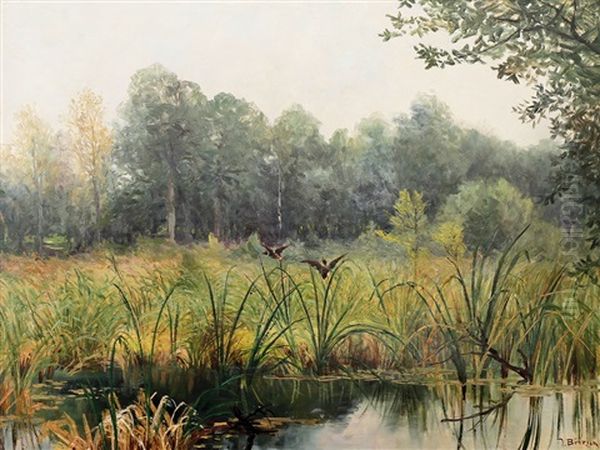Kachny Odletaji - view 1